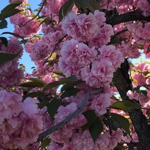 Meet your Posher, Gg